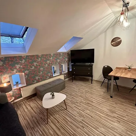 Apartment Zum Roten Fuchs Inkl. Parkplatz Erfurt