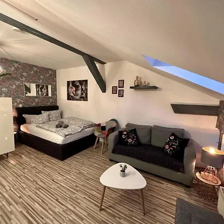 Apartment Zum Roten Fuchs Inkl. Parkplatz Erfurt